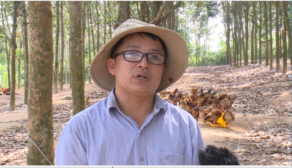 Anh Lê Đức Quang Huy cho rằng, khi tham gia cuộc thi “Khởi nghiệp đổi mới sáng tạo” tỉnh Quảng Trị năm 2020, anh sẽ có cơ hội để chia sẻ và học hỏi cũng như tìm kiếm nguồn hỗ trợ để có thể sử dụng bao bì đóng gói sản phẩm thân thiện với môi trường.