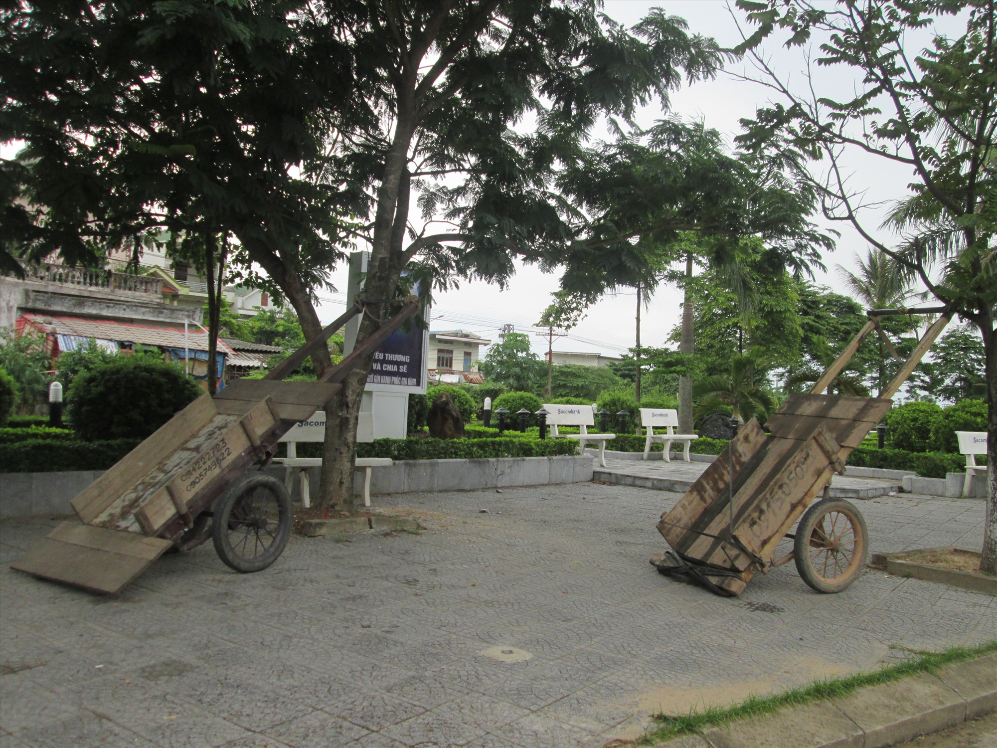 Những chiếc xe kéo ở Thành phố Đông Hà (Quảng Trị) được buộc lên cây vì không có hàng để thồ.