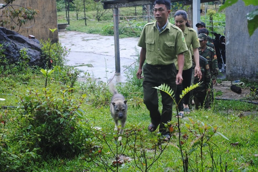 Lực lượng bảo vệ rừng Khu bảo tồn thiên nhiên Bắc Hướng Hóa (huyện Hướng Hóa, tỉnh Quảng Trị) trước giờ tuần tra. Ảnh: VT.