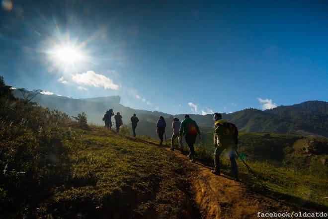 Cách thị trấn Mộc Châu 30 km, đỉnh Pha Luông được ví như nóc nhà của Mộc Châu, nằm giữa biên giới Việt – Lào. Từ đồn biên phòng Pha Luông ở chân lên tới đỉnh núi phải mất 3 – 4 tiếng đi bộ.