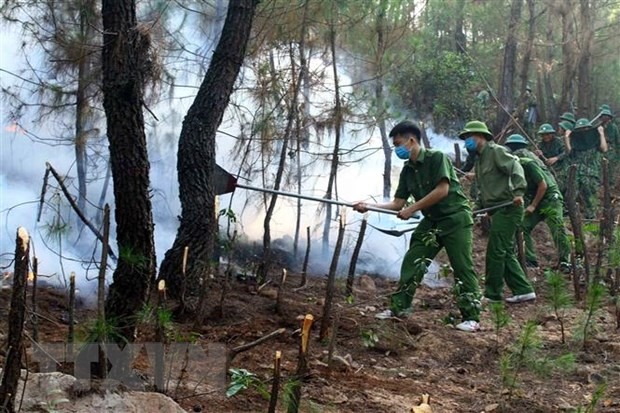 Các lực lượng chức năng nỗ lực dập lửa tại xã Diễn Lợi, huyện Diễn Châu (Nghệ An). (Ảnh: Tá Chuyên/TTXVN)