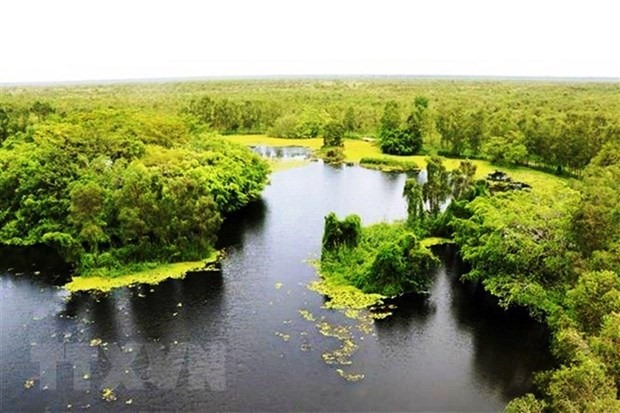 Một góc Vườn quốc gia U Minh Thượng. (Nguồn: TTXVN)