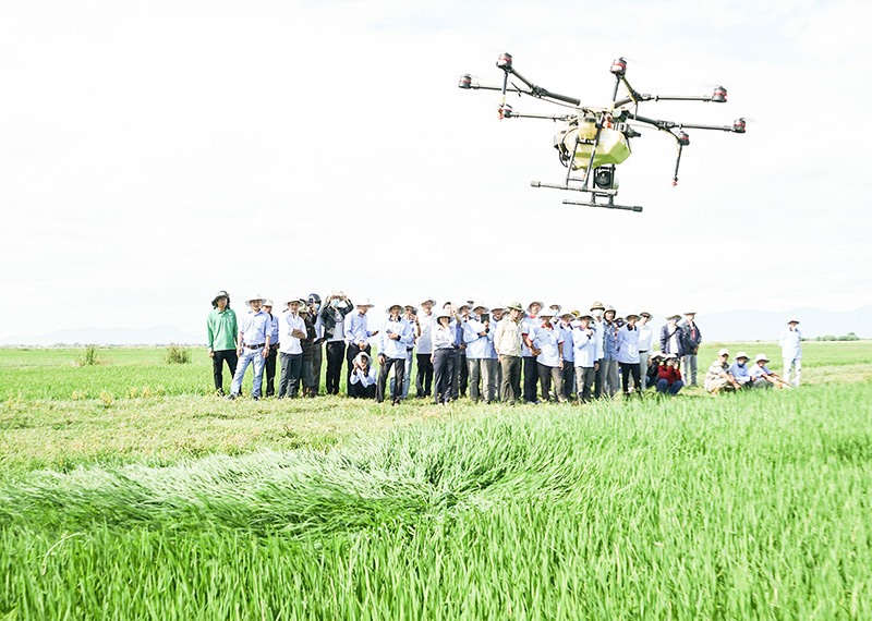 Sử dụng drone để phun thuốc BVTV tại HTX Diên Khánh, xã Hải Dương, Hải Lăng. Ảnh: TQ