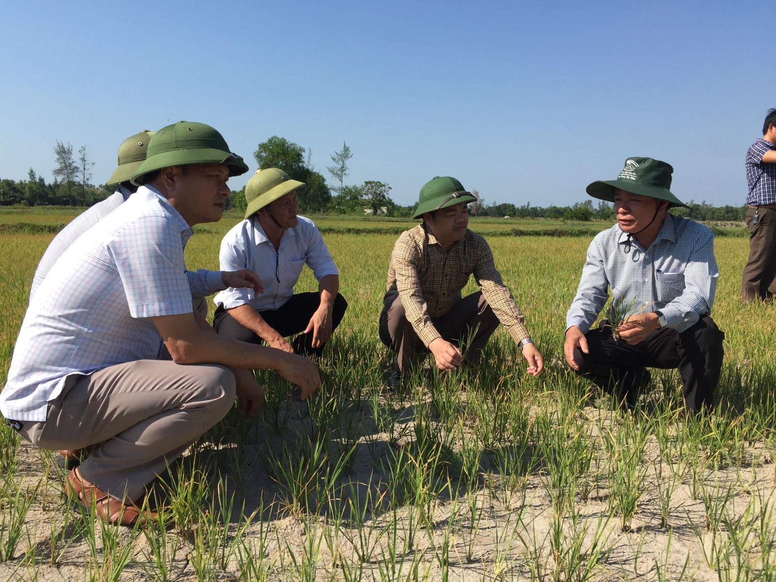Lãnh đạo Sở Nông nghiệp và Phát triển nông thôn đi kiểm tra thực địa và đưa ra biện pháp khẩn cấp chống hạn cứu lúa