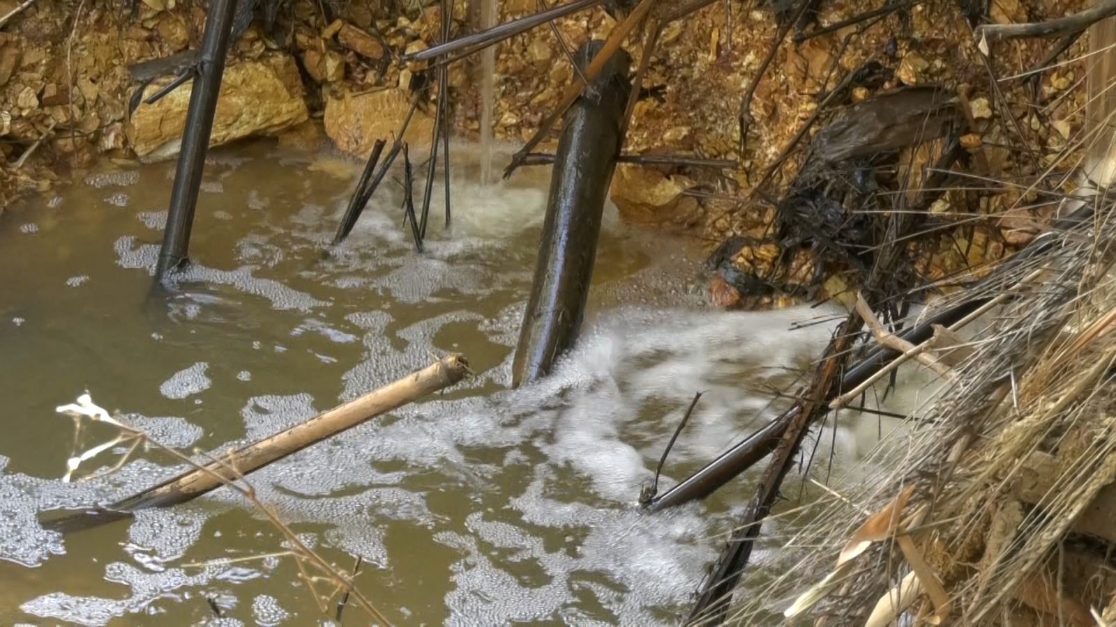 Nước xả thải vào dòng sông Vĩnh Phước