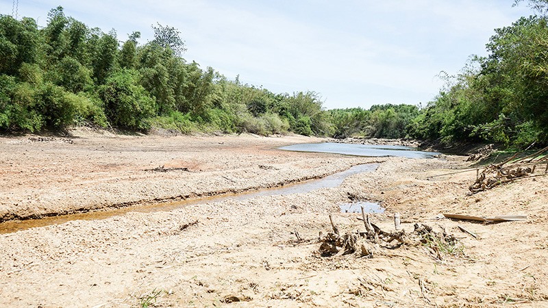 Sông Vĩnh Phước trước ngày 11/7/2020 chỉ còn một dòng chảy nhỏ. Ảnh: TQ