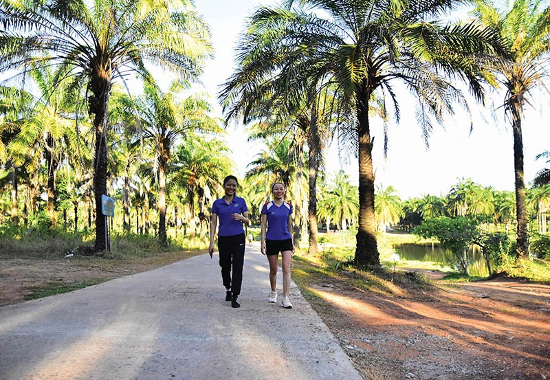 Người dân tập thể dục buổi sáng tại công viên sinh thái Cọ Dầu​