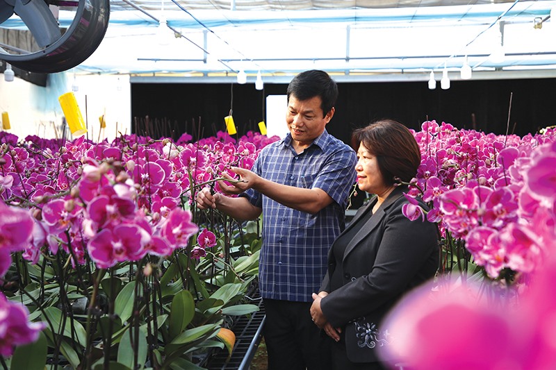 Vườn hoa lan ở trên đình đèo Sa Mù khoe sắc quanh năm khiến khách tham quan là lãnh đạo Hội đồng nhân dân tỉnh Quảng Bình (bìa phải ảnh) ngạc nhiên​