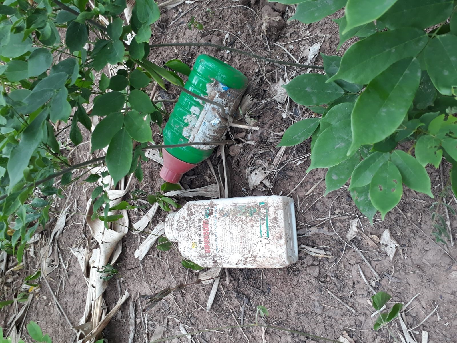 Vỏ chai thuốc BVTV vứt tràn lan ra môi trường sau sử dụng