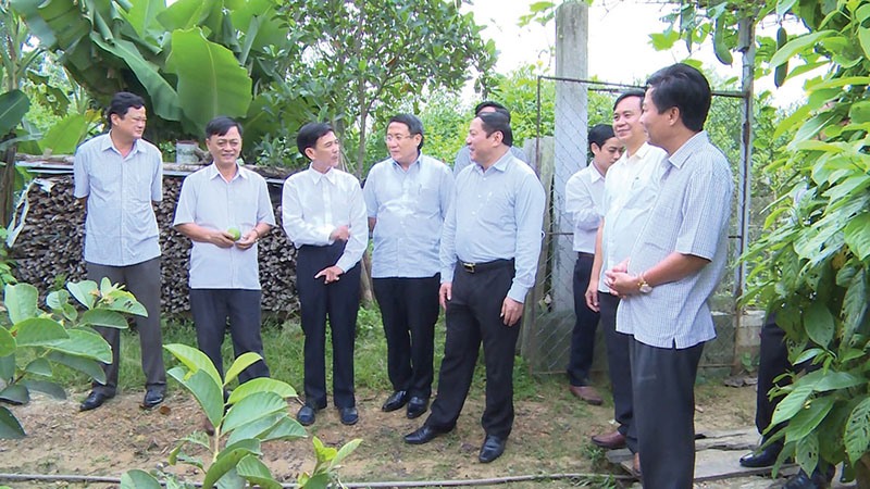 Các đồng chí lãnh đạo tỉnh kiểm tra mô hình vườn mẫu tại Cam Hiếu​
