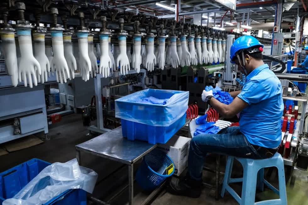 Từ khi đại dịch COVID-19 bùng nổ, găng tay cao su trở thành “vàng” với các nhà sản xuất tại Malaysia. Ảnh: Bloomberg