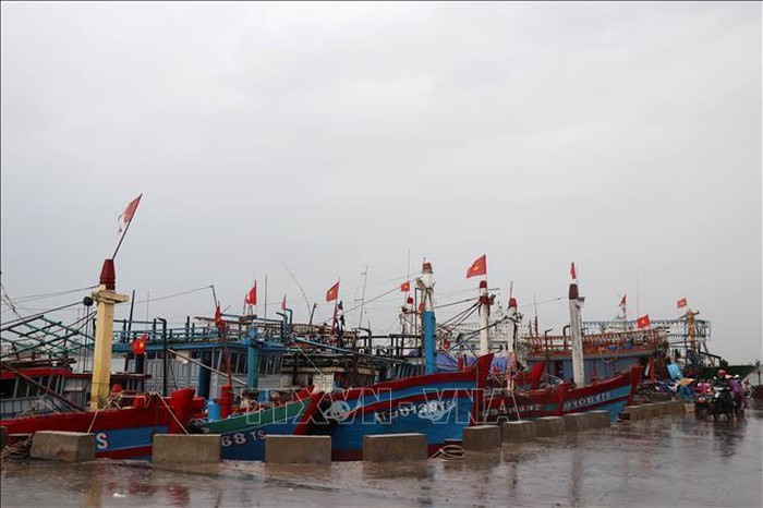 Ngư dân Quảng Trị đưa tàu cá cập Bến cá Cửa Việt. Ảnh: Nguyên Lý/TTXVN