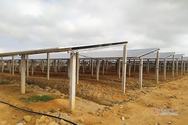 Một công trình điện mặt trời ở trang trại nông nghiệp.