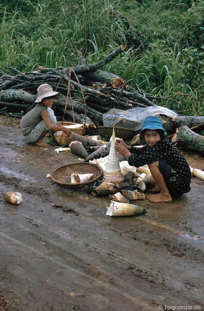 Những đứa trẻ bóc vỏ măng bên con đường dẫn đến Khe Sanh, một chiến trường khốc liệt ở Quảng Trị thời chiến tranh Việt Nam..