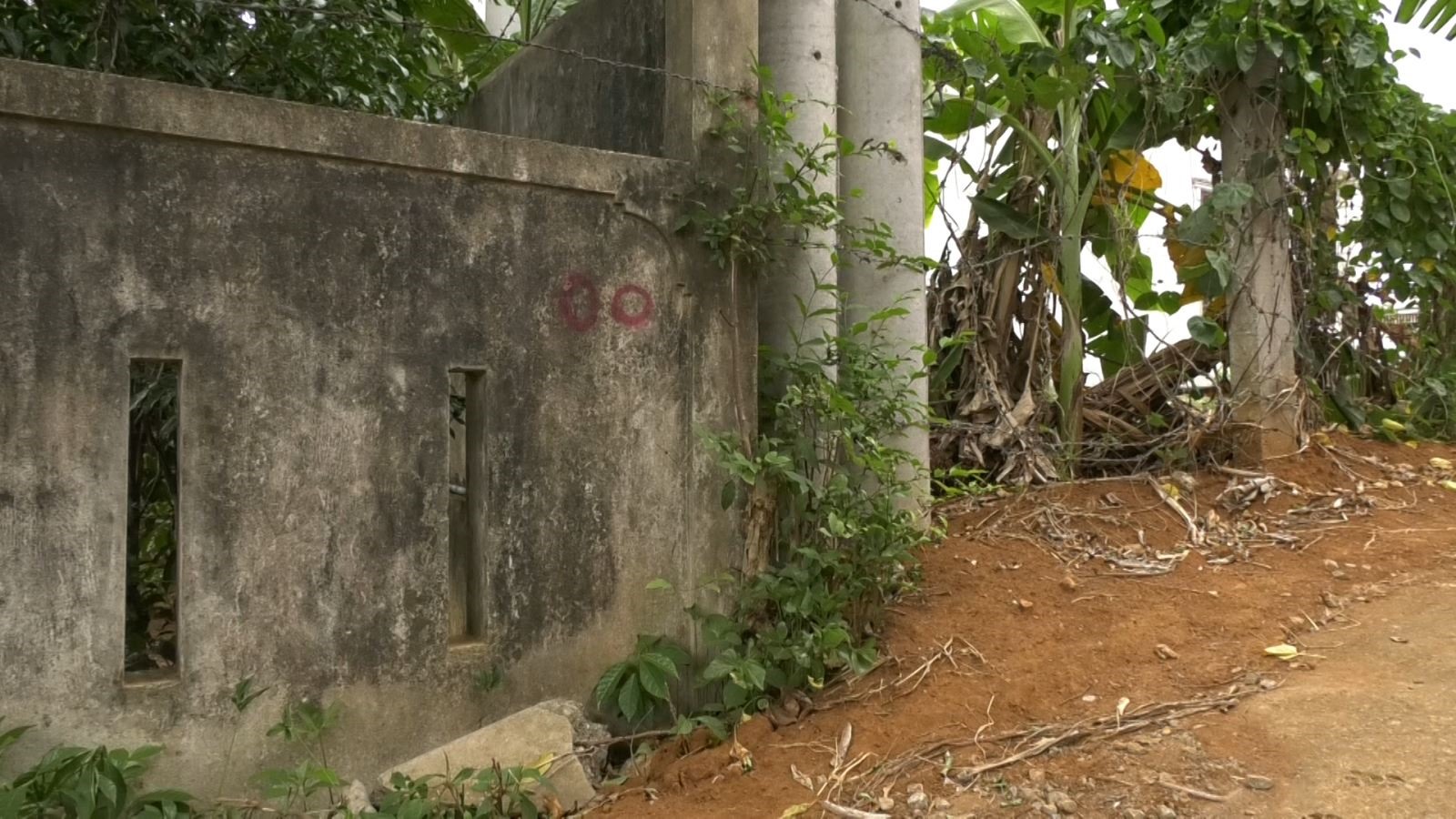 Cây cột điện được chôn phía trong hàng rào thép gai thửa đất của gia đình bà Đỗ Thị Viễn