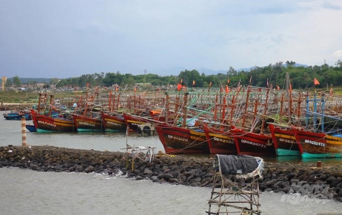 Nhiều tàu thuyền tỉnh Quảng Trị đã vào bờ tránh trú bão số 5 sắp đổ bộ vào đất liền. Ảnh: Công Điền.