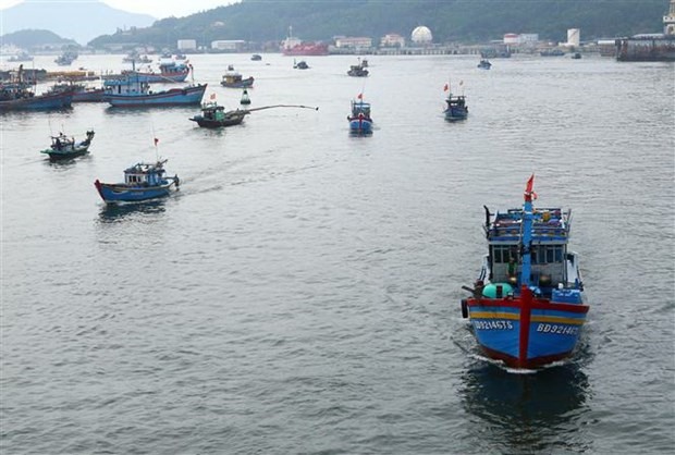 Tàu thuyền ngư dân các tỉnh, thành phố ven biển miền Trung di chuyển vào Âu thuyền Thọ Quang (Đà Nẵng) để phòng chống bão số 5. (Ảnh: Trần Lê Lâm/TTXVN)