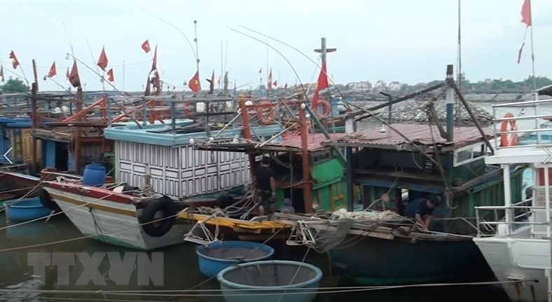 Tàu thuyền trên địa bàn tỉnh Quảng Bình đã vào tránh trú bão an toàn. (Ảnh: Võ Dung/TTXVN)