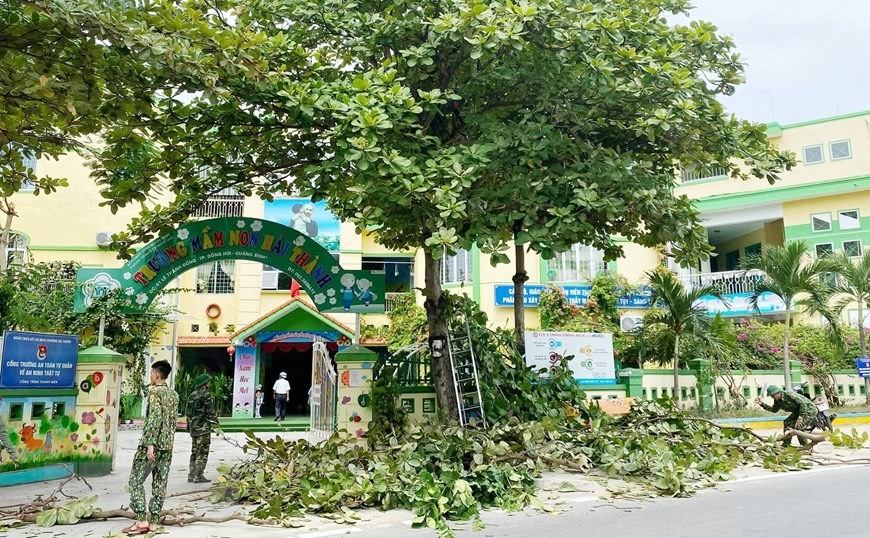 Lực lượng Bộ đội Biên phòng Quảng Bình hỗ trợ cán bộ, giáo viên trường học trên địa bàn chặt tỉa cành cây xanh. (Ảnh: Võ Dung/TTXVN)