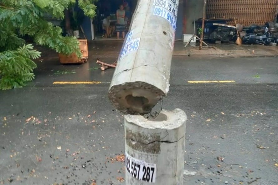 Một cột điện bị đổ theo kiểu “tiện ngang” trong bão số 5. Ảnh Hữu Long/LĐO