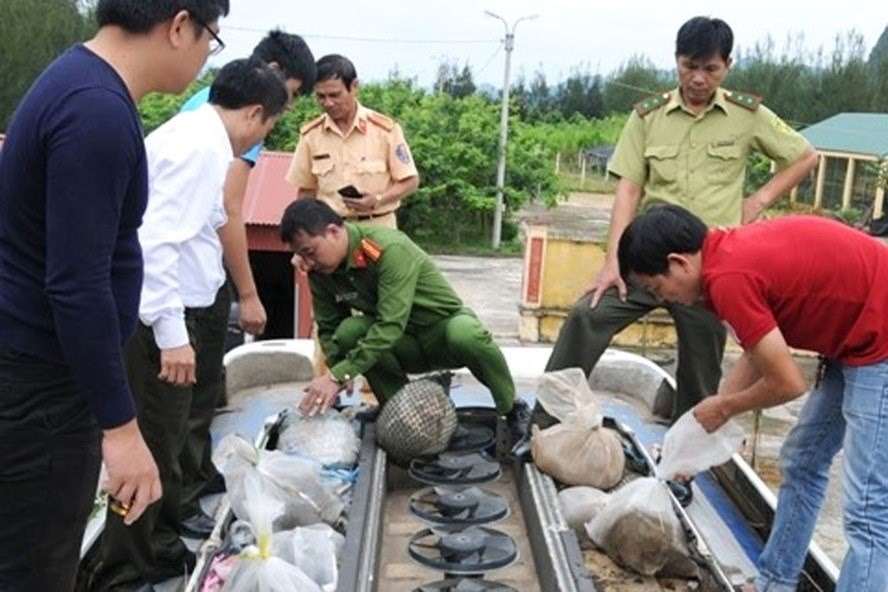 Lực lượng chức năng tỉnh Ninh Bình phát hiện, bắt giữ xe ô tô vận chuyển trái phép động vật rừng. Ảnh: NT