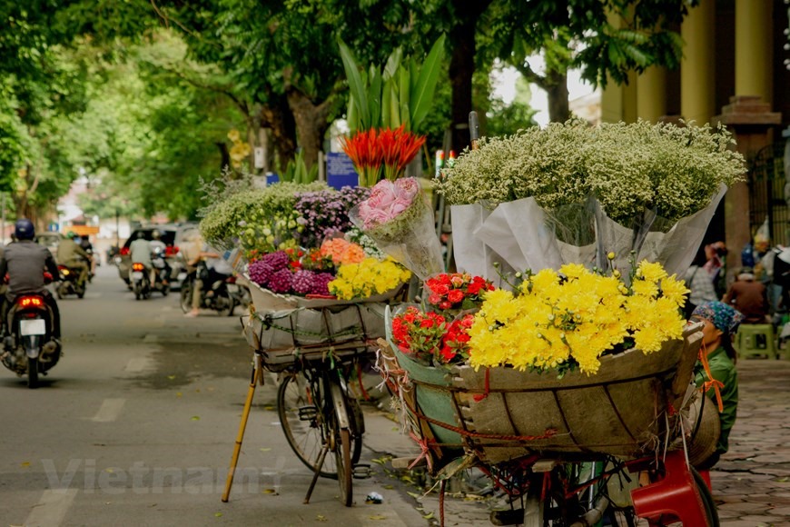 Những gánh hoa đủ sắc màu, nở rộ tinh khôi trên phố như một mảnh ghép trong bức tranh đầy màu sắc của phố phường Hà Nội lúc vào thu. (Ảnh: Minh Hiếu/Vietnam+)