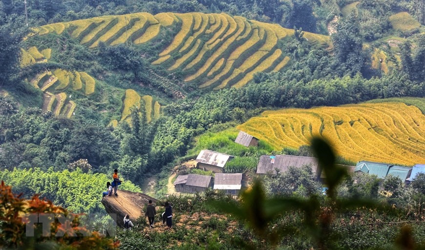 Nơi đây được biết đến là nơi lý tưởng để khách du lịch thưởng thức vẻ đẹp tuyệt vời của những thửa ruộng bậc thang và săn mây do nằm trên vùng núi đá có độ cao hơn 2.000m. (Ảnh: Thành Đạt/TTXVN) (TTXVN/Vietnam+)