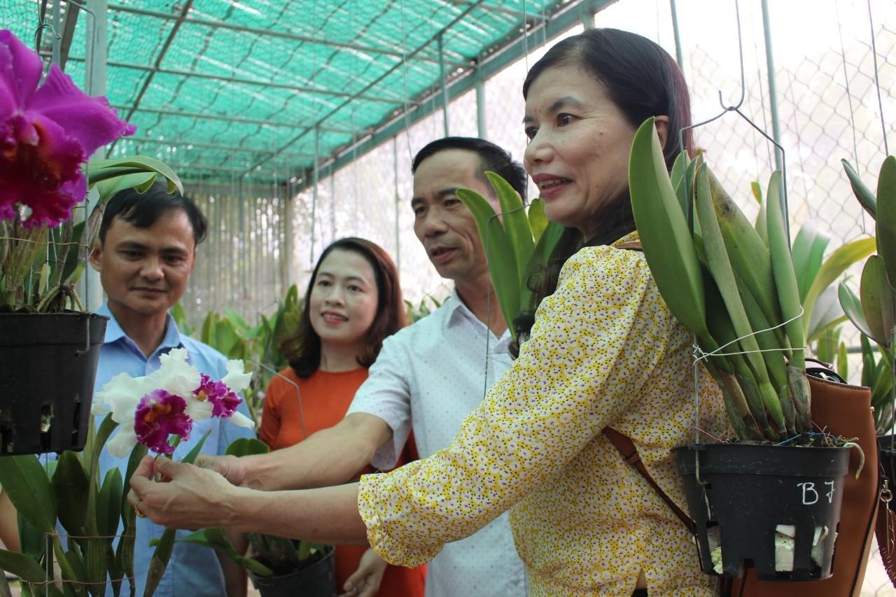 Lãnh đạo Sở TTTT, UBND huyện Hướng Hoá thăm trại hoa lan, lily trên đỉnh Sa Mù