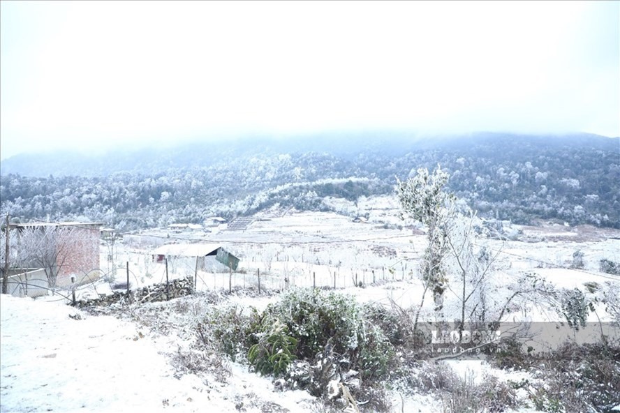 Tuyết rơi ở Y Tý - Lào Cai. Ảnh: Tô Thế