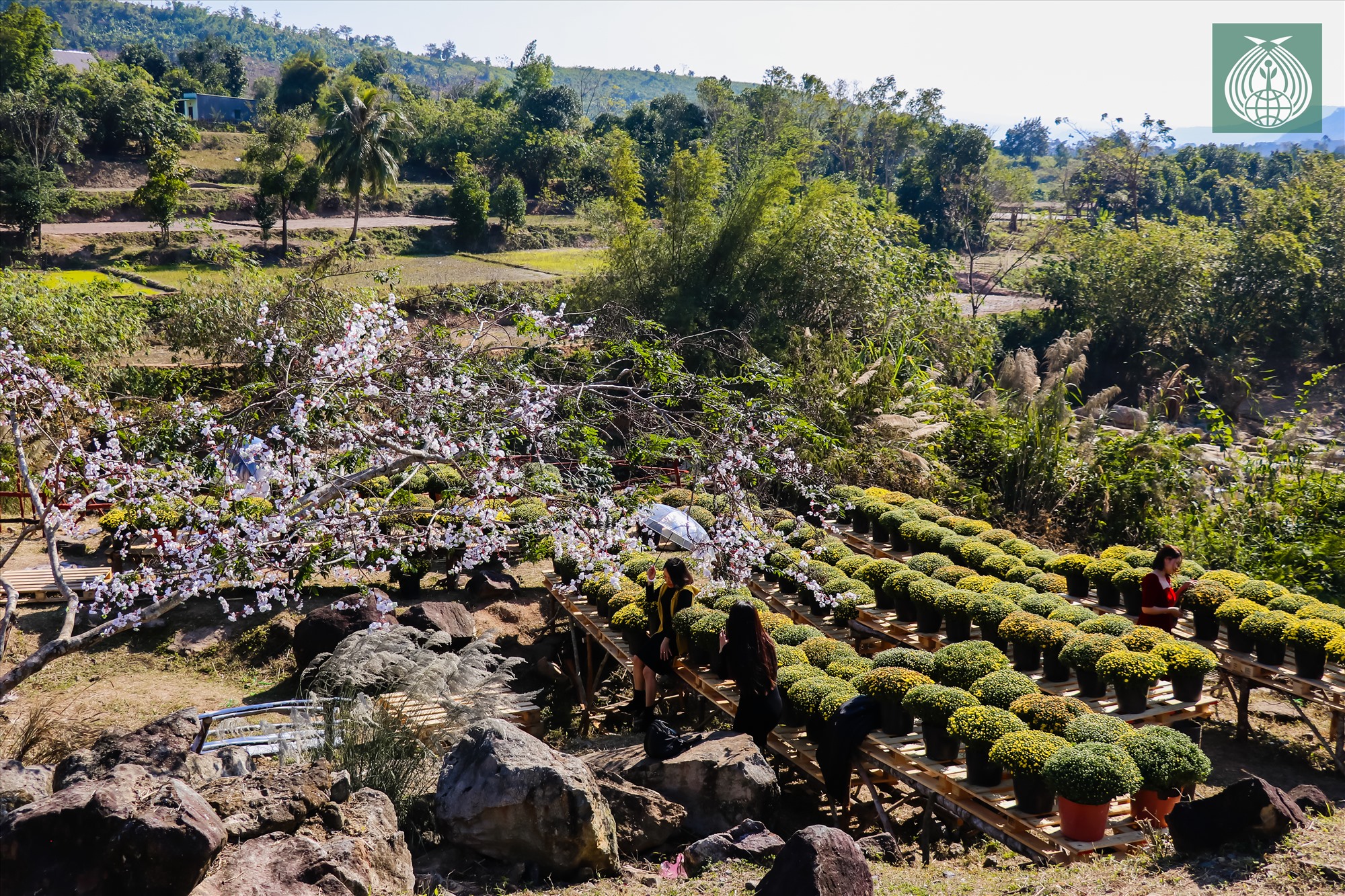 Những gốc nhìn về “Vườn hoa suối La La“, hứa hẹn là một điểm check-in mới cho du khách khi đến nơi đây.