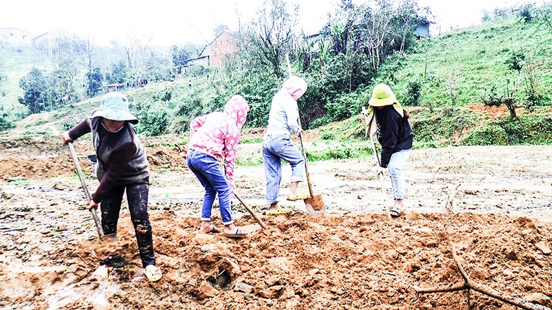 Người dân xã Húc, huyện Hướng Hóa cải tạo đồng ruộng bị bồi lấp do mưa lũ để canh tác lúa nước - Ảnh: H.G