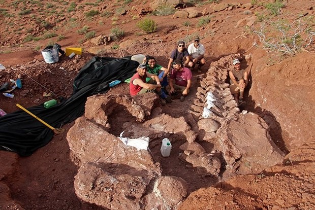 Nhóm các nhà khao cổ bên bộ xương có thể của khủng long Patagotitan mayorum mới đào được (Nguồn: AFP)
