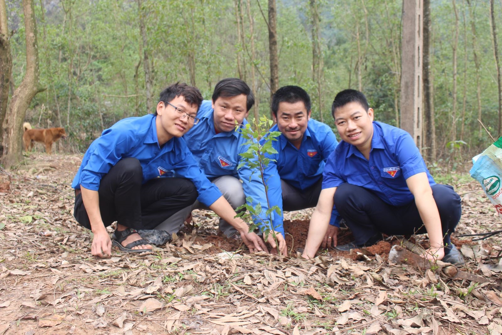 Các đoàn viên thanh niên Sở NN&PTNT trồng cây