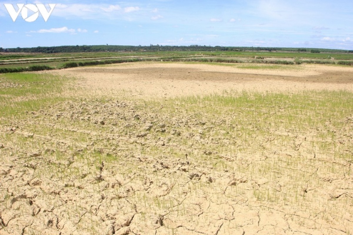 Việt Nam phải đối mặt với tình trạng thiếu hụt nguồn nước, hạn mặn gay gắt trong năm 2021.