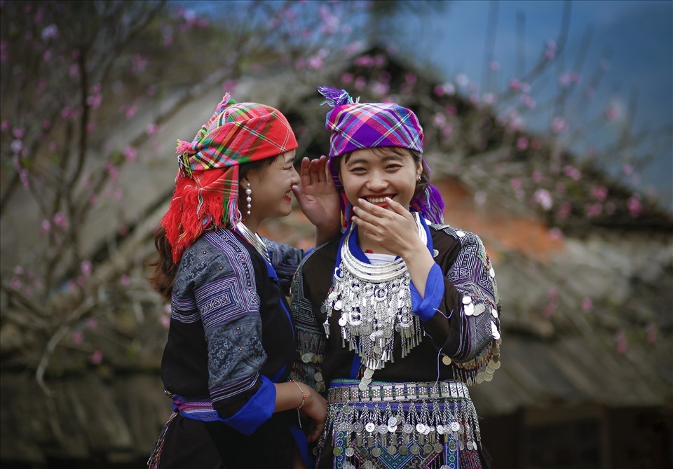 Những thiếu nữ người Mông e ấp bên sắc hoa.