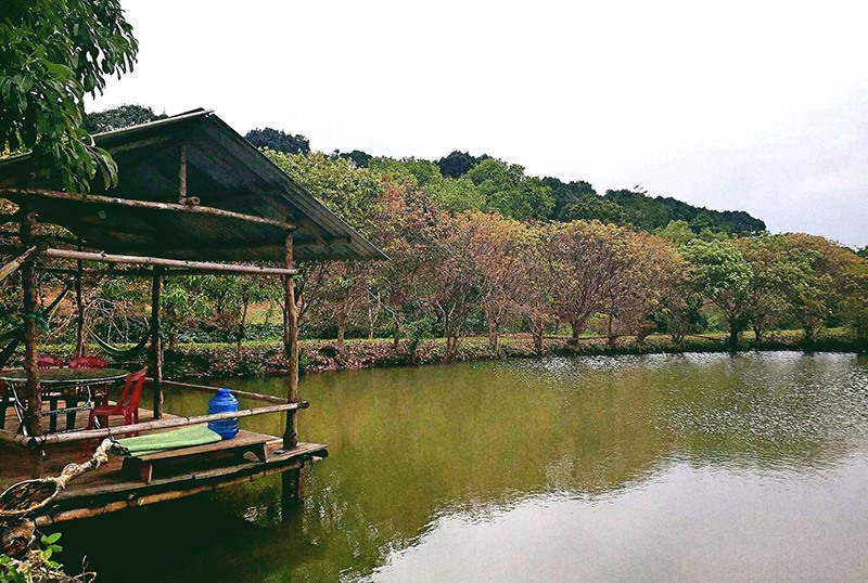 Một góc Khu sinh thái Rú Đưng ở xã Kim Thạch, huyện Vĩnh Linh - Ảnh: T.T​
