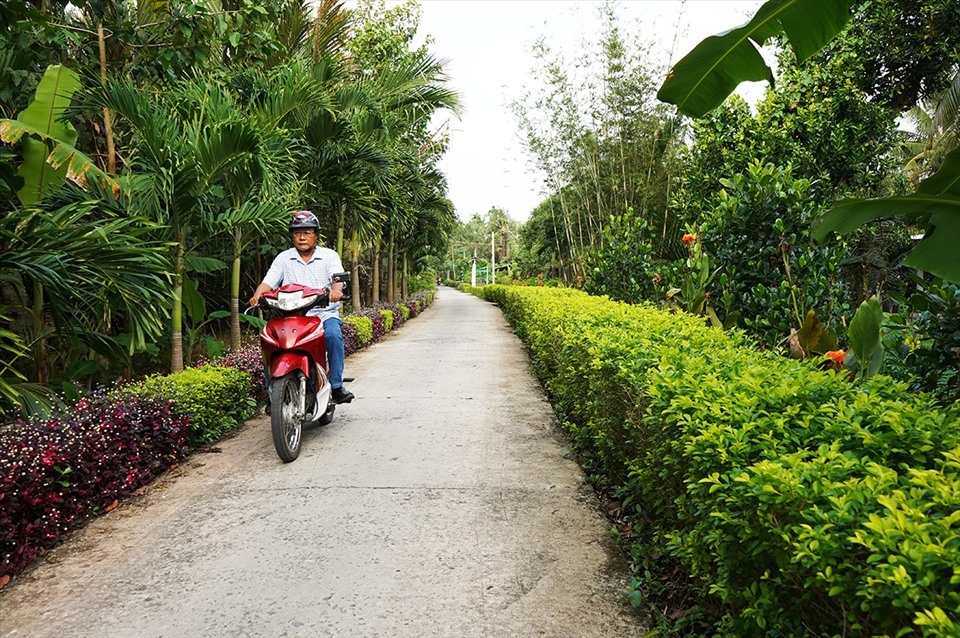 Đến nay, chỉ riêng 2 xã nông thôn mới nâng cao Đại Thành và Tân Thành đã có hơn 80% người dân trồng hàng rào cây xanh trước nhà, tạo nên sức sống mới cho các vùng quê.