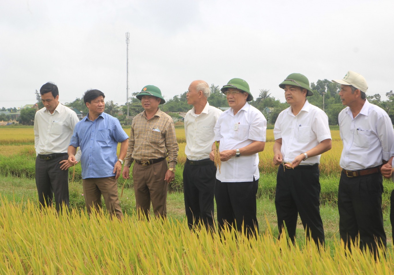 Kiểm tra nông nghiệp hữu cơ ở huyện Triệu Phong - Ảnh: Tiến Nhất