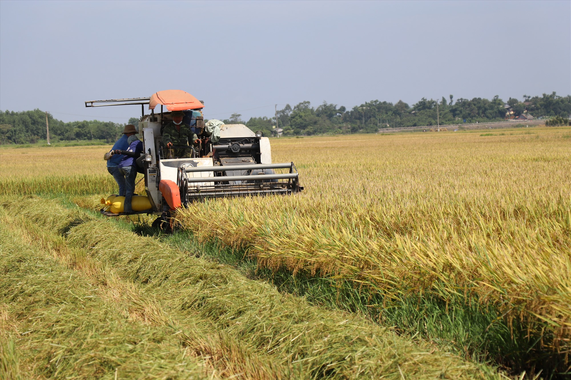 Chuyển đổi số sẽ thúc đẩy nền nông nghiệp Quảng Trị phát triển nhanh, bền vững - Ảnh: Xanh EWEC