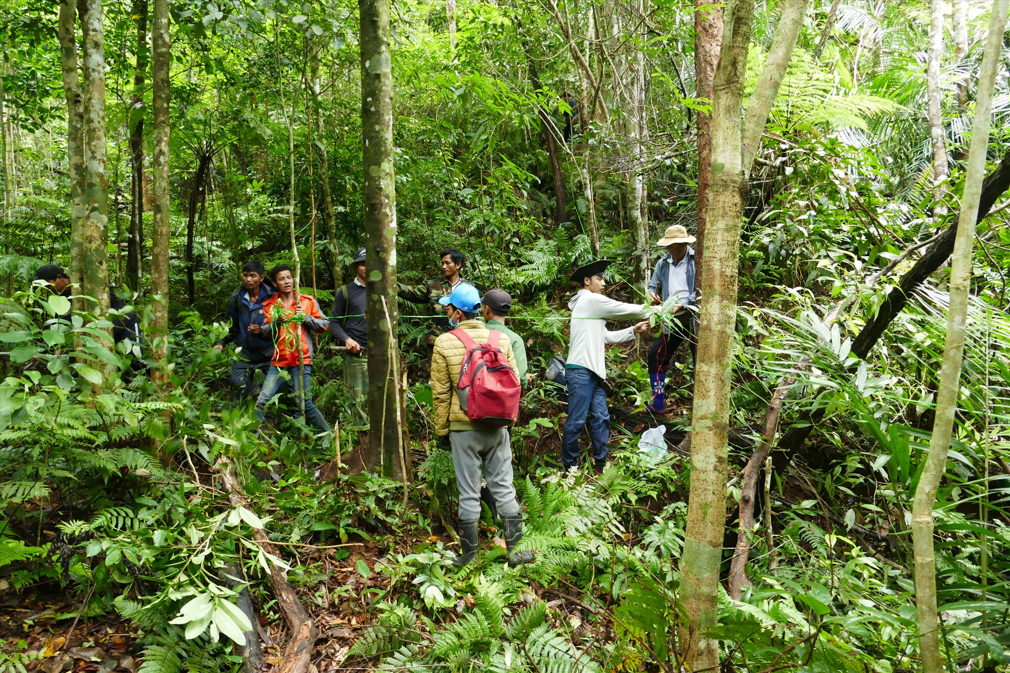 Khảo sát lâm sản ngoài gỗ tại rừng cộng đồng thôn Chênh Vênh - Ảnh: Đ. Đ