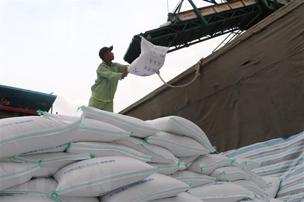 Bốc xếp gạo xuất khẩu tại tỉnh An Giang. (Ảnh: Công Mạo/TTXVN)