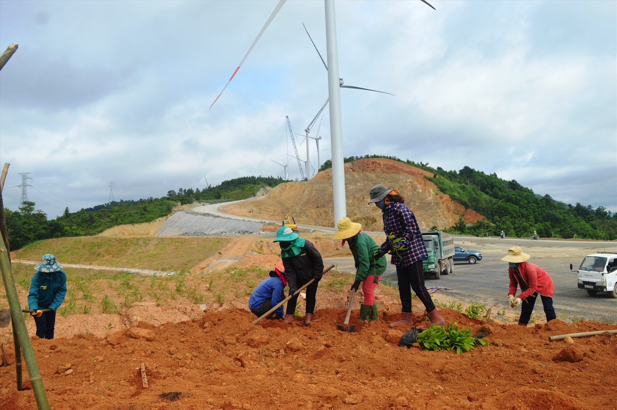 Dự án điện gióHướng Tân sau khi hoàn thành xây dựng đã tiến hành trồng rừng để bảo vệ công trình - Ảnh: L.T