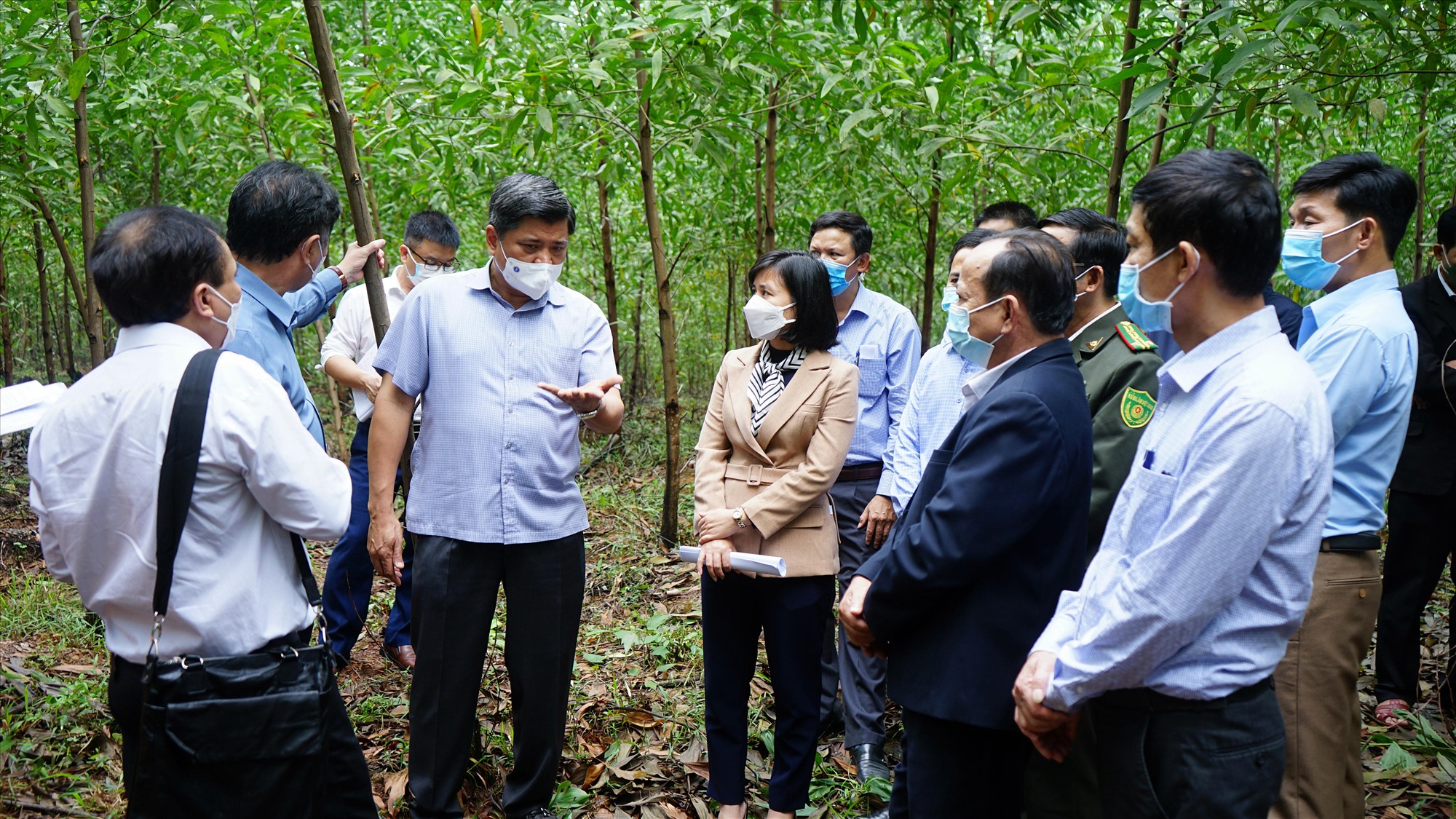 Đoàn công tác khảo sát mô hình trồng rừng thâm canh gỗ lớn sử dụng giống keo lai nuôi cấy mô tại HTX PHú Hưng, xã Hải Phú, huyện Hải Lăng - Ảnh: L.A