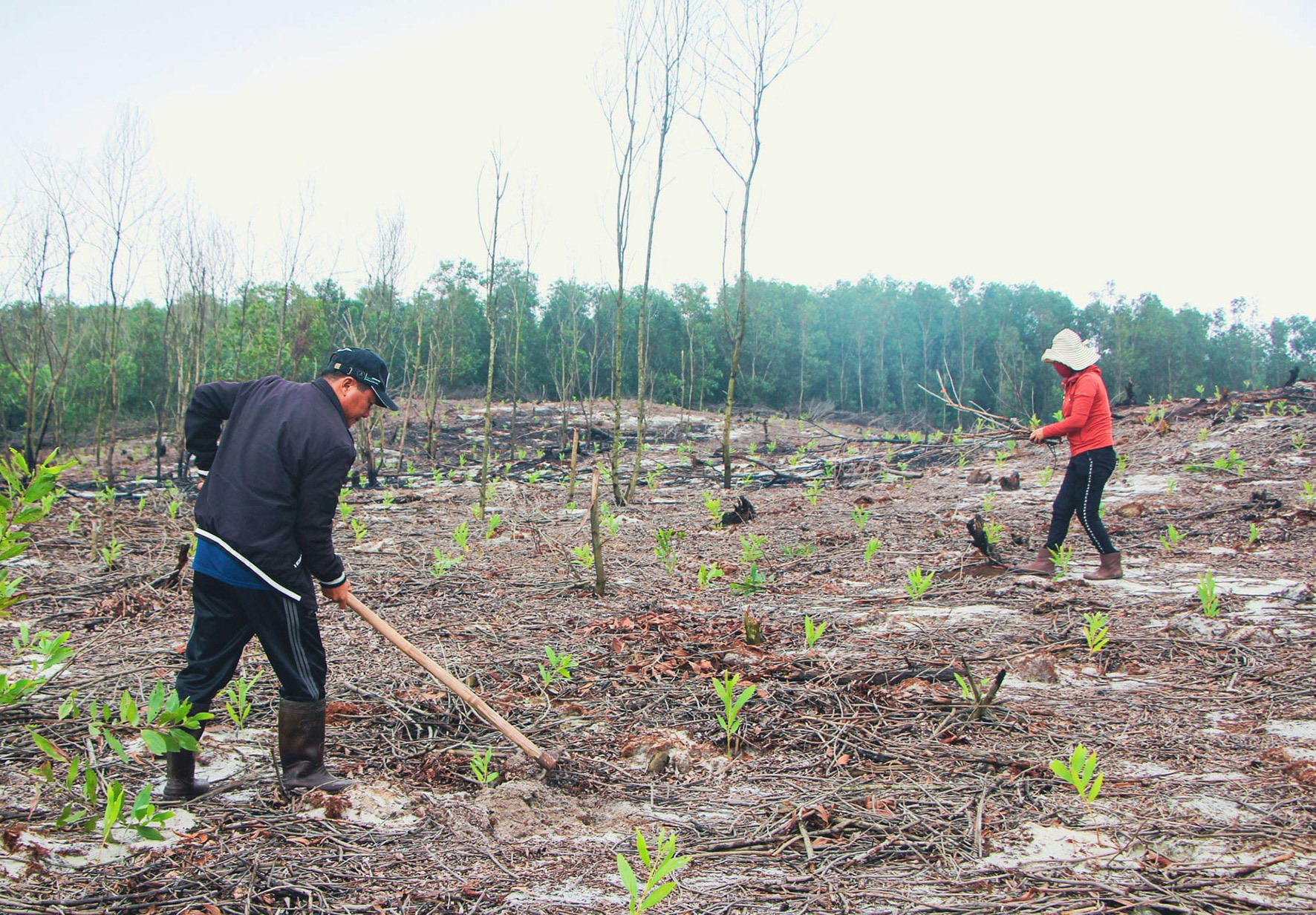 Người dân thôn Thái Lai, xã Vĩnh Thái chuẩn bị sản xuất trên diện tích đất vừa được NPA/RENEW bàn giao- Ảnh: NPA/RENEW