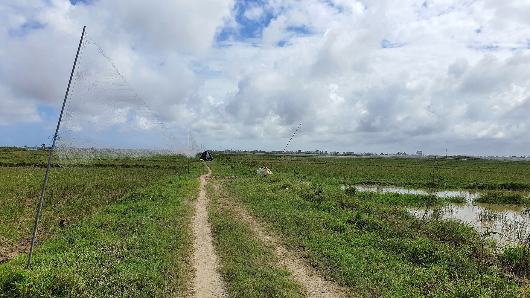 Những chiếc lưới bẫy chim “vô hình” bao phủ cả một khu vực rộng lớn tại cánh đồng làng Vinh Quang Thượng, xã Gio Quang, huyện Gio Linh - Ảnh: T.Q