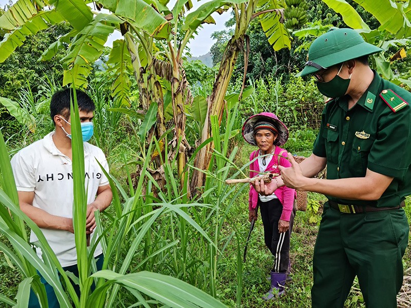 Thiếu tá Hoàng Minh Thiết hướng dẫn người dân trồng cây cỏ voi để nuôi bò -Ảnh: T.P