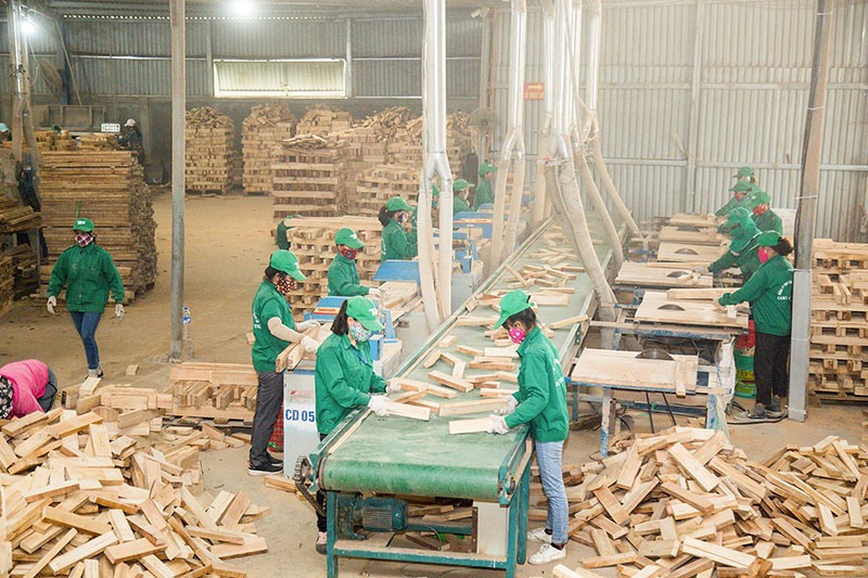 Công nhân Công ty TNHH Tiến Phong Cam Lộ sơ chế gỗ để sản xuất bàn, ghế xuất khẩu sang châu Âu - Ảnh: L.T