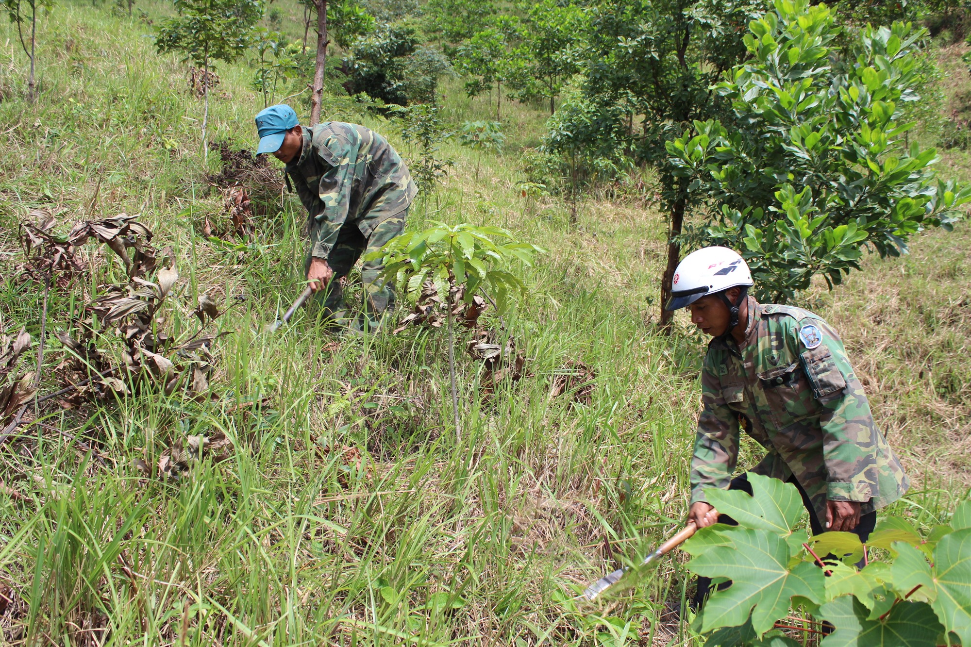 Đồng bào dân tộc thiểu số ở Hướng Hóa tích cực tham gia bảo vệ và phát triển rừng - Ảnh: N.T
