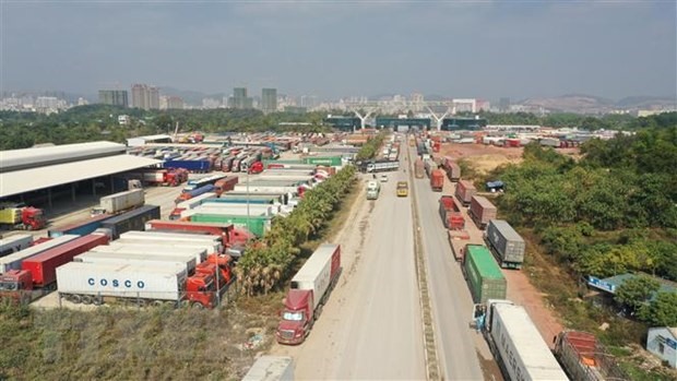 Xe container xếp hàng dài đợi thông quan tại cửa khẩu Móng Cái. (Ảnh: Thanh Vân/TTXVN)