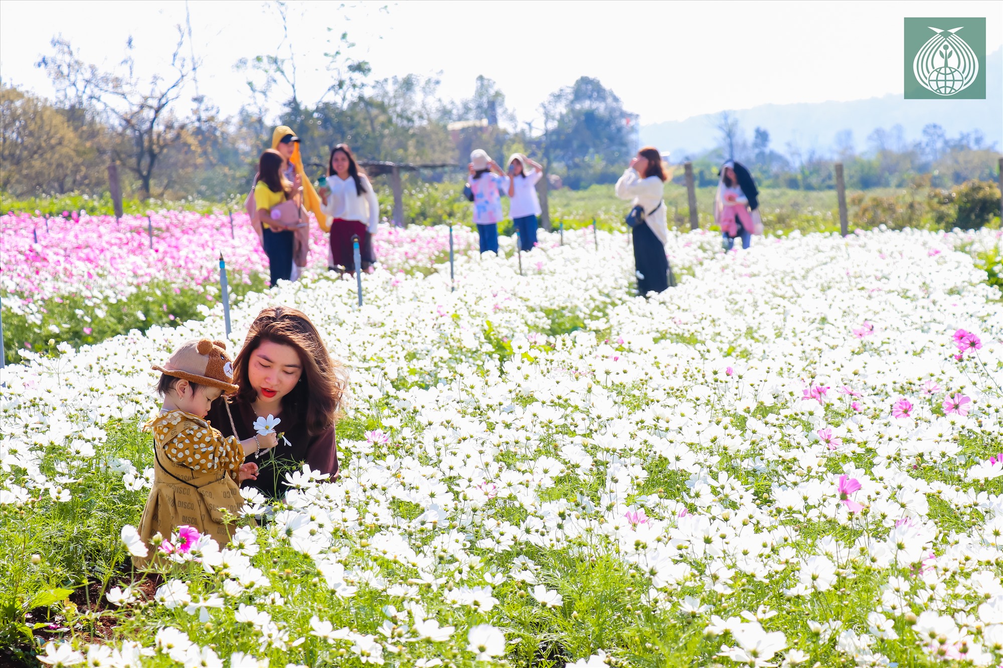 Vườn hoa Chân Trời là địa điểm mà du khách phải ngỡ ngàng trước vẽ đẹp sắc xuân của các loài hoa, hiện cũng là địa điểm du khách đến khám phá khi đến huyện miền núi Hướng Hóa.